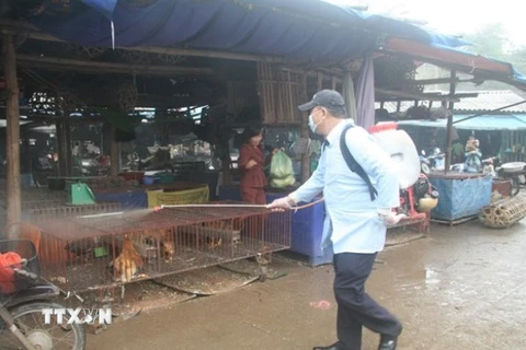 Phun thuốc khử trùng tiêu độc tại điểm bán gia cầm chợ Giếng Vuông (Lạng Sơn). (Ảnh: Thắng Trung/TTXVN)