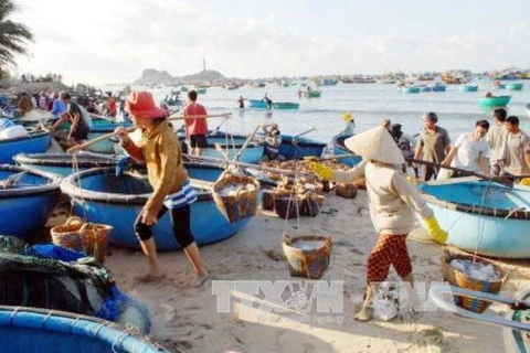Hoạt động khai thác thủy hải sản sau sự cố môi trường Formosa đã cơ bản phục hồi. (Ảnh: TTXVN) 