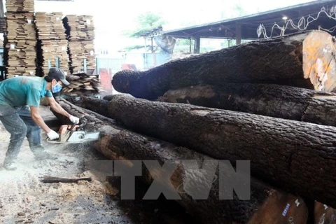 Ảnh minh họa: Chế biến gỗ tại Công ty Cổ phần Tân Vĩnh Cửu (Đồng Nai). (Ảnh: Thanh Vũ/TTXVN)