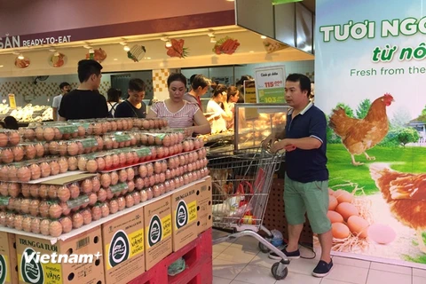 Người tiêu dùng lựa chọn mua trứng tại siêu thị. (Ảnh: Thanh Tâm/Vietnam+)