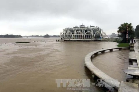 Nước trên sông Hương (Thừa Thiên Huế) dâng cao. (Ảnh: Quốc Việt/TTXVN)