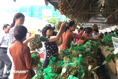 Người tiêu dùng mua sắm nhộn nhịp trong ngày đầu khai mạc Tuần lễ nhãn lồng Hưng Yên tại Hà Nội. (Ảnh: Thanh Tâm/Vietnam+) 