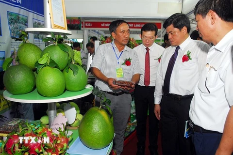 Thứ trưởng Bộ Nông nghiệp và Phát triển Nông thôn Trần Thanh Nam cùng các đại biểu tham quan các gian hàng tại Hội chợ AgroViet 2017. (Ảnh: Mạnh Linh/TTXVN)