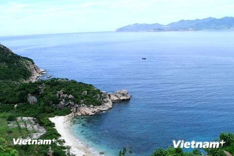 "Vua bếp" Bobby Chinn làm Đại sứ Du lịch Việt Nam tại châu Âu 