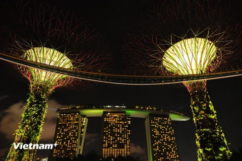 Gardens by the bay in night - một trong những biểu tượng của Singapore hiện đại. (Ảnh: Xuân Mai/Vietnam+)