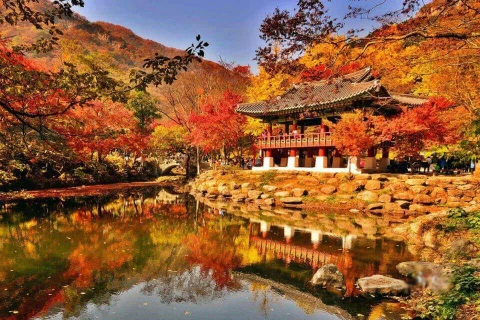 Thiên đường Thu Hàn Quốc. (Ảnh: CTV)