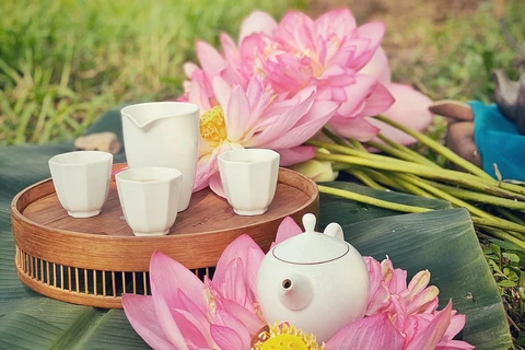 [Photo] Thưởng trà sen sớm bên đầm bách diệp liên tuyệt đẹp mùa Hạ