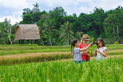 Hayc cho trẻ em cơ hội trải nghiệm và khám phá thiên nhiên, văn hóa bản địa kỳ nghỉ Hè thêm sắc màu ý nghĩa. (Ảnh: CTV/Vietnam+)