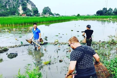 Du khách Mỹ trải nghiệm úp nơm bắt cá ở Ninh Bình. (Ảnh: Quang Hải/Vietnam+)