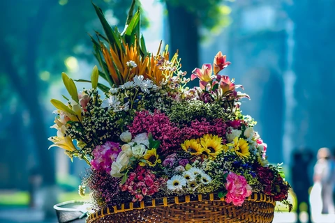 Thu Hà Nội với sắc hoa rực rỡ khắp phố phường. (Ảnh: PV/Vietnam+)