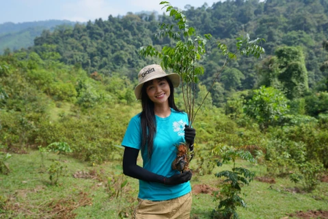 Hoa hậu H’hen Niê tái khởi động dự án trồng cây phủ xanh rừng Bến En. (Ảnh: CTV/Vietnam+)