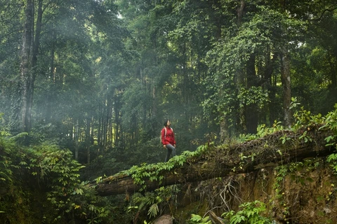 Du khách toàn cầu đang cảm thấy “gánh nặng” từ lựa chọn du lịch bền vững. (Ảnh minh họa: CTV/Vietnam+)