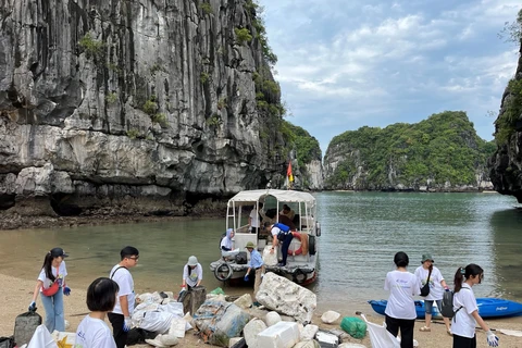 Các tình nguyện viên tham gia hoạt động dọn rác trên Vịnh Hạ Long. (Ảnh: CTV/Vietnam+)