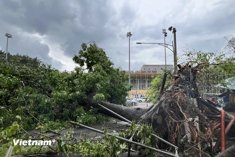 Hà Nội vẫn ngổn ngang sau bão. (Ảnh: Mai Mai/Vietnam+)