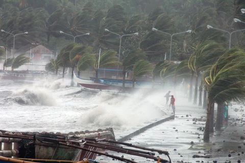 Sóng lớn khi bão Haiyan đổ bộ thành phố Legaspi, tỉnh Albay, phía nam thủ đô Manila, Philippines. (Nguồn: AFP/TTXVN) 