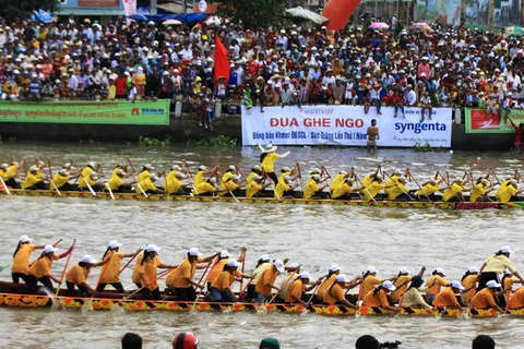 Tám tỉnh tranh tài đua ghe Ngo Đồng bằng sông Cửu Long