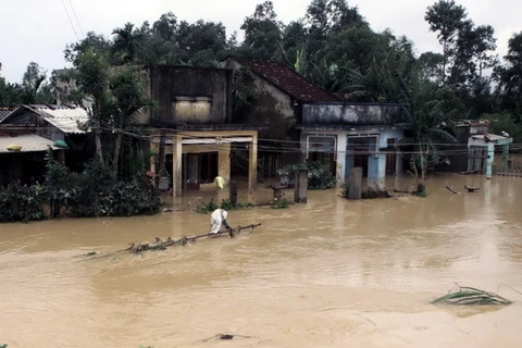 Mưa lũ gây nhiều thiệt hại trên địa bàn tỉnh Quảng Ngãi 