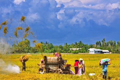 Cần Thơ dẫn đầu ĐBSCL về thu nhập bình quân đầu người 