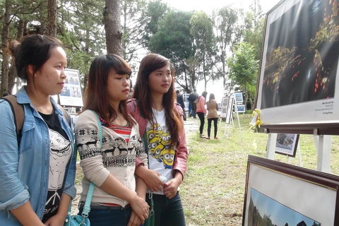Khách tham quan một triển lãm về Di sản Việt Nam. (Ảnh: Đặng Tuấn/TTXVN)