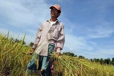 Philippines cân nhắc lời chào bán gạo của Thái Lan