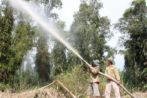 Vườn quốc gia U Minh Hạ khô hạn, có nguy cơ cháy