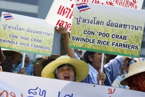 Nông dân Thá́i Lan biểu tình phản đối việc chính phủ chậm thanh toán tiền mua gạ̣o. (Nguồn: AFP/TTXVN)
