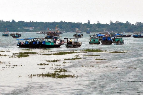 Quảng Ninh: Tạo đà để huyện đảo Cô Tô vươn ra biển lớn