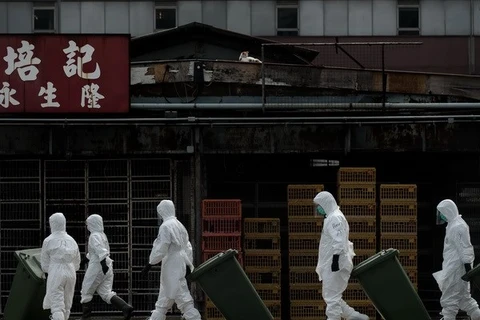 Trung Quốc xác nhận thêm hai ca nhiễm cúm H7N9