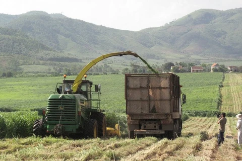 Sử dụng máy thu hoạch cỏ phục vụ nuôi bò sữa ở Nghệ An. (Ảnh: Nguyễn Văn Nhật/TTXVN)