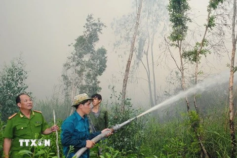 Bình Định: Cháy rừng dữ dội xuất phát từ việc đốt vàng mã