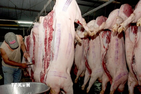 Hà Nội: Hệ thống giết mổ gia súc chưa xứng với chăn nuôi