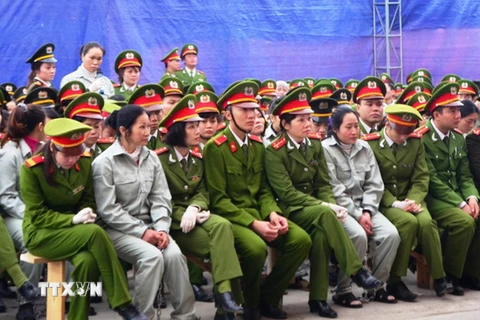 Bắt đầu xét xử phúc thẩm vụ án ma túy lớn nhất Việt Nam