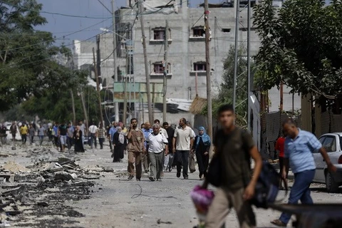 HĐBA kêu gọi ngừng bắn vì mục đích nhân đạo ở Dải Gaza