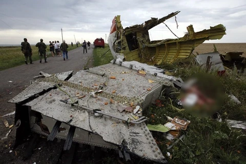 Nga chỉ trích NATO gây áp lực lên cuộc điều tra vụ MH17