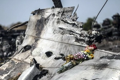 Mỹ cử nhóm chuyên gia tới Ukraine hỗ trợ điều tra vụ MH17