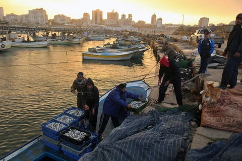 Israel dỡ bỏ một phần lệnh cấm đánh bắt cá ở Dải Gaza