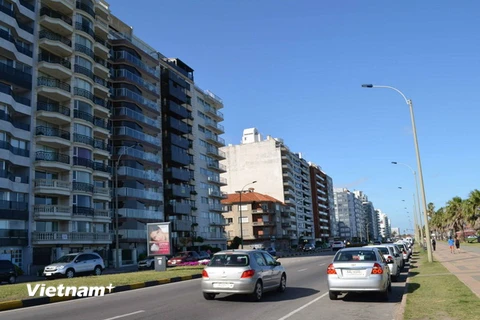 Uruguay có tỷ lệ người trung lưu cao nhất khu vực Mỹ Latinh