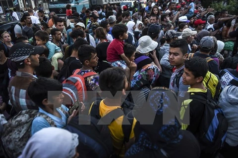 Người di cư tại một trại tị nạn ở Presevo, Serbia sau khi vượt qua biên giới Macedonia ngày 26/8 vừa qua. (Ảnh: AFP/TTXVN)