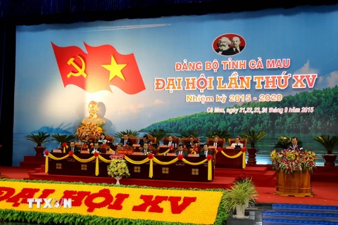 Đại hội đại biểu Đảng bộ tỉnh Cà Mau lần thứ XV, nhiệm kỳ 2015-2020. (Ảnh: Kim Há/TTXVN)