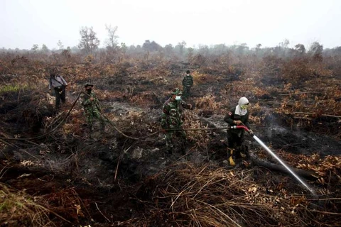Chữa cháy rừng ở Indonesia. (Nguồn: Reuters)