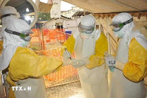 Nhân viên y tế điều trị cho bệnh nhân Ebola tại bệnh viện Donka ở Conakry, Guinea ngày 8/3. (Nguồn: AFP/TTXVN)