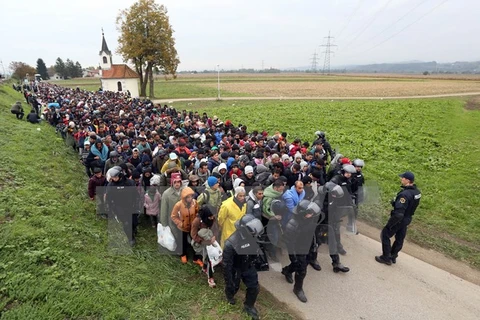 Cảnh sát Slovenia áp giải khoảng 1000 người di cư từ khu vực biên giới với Croatia tới Dobova (Slovenia) ngày 22/10. (Nguồn: AFP/TTXVN)