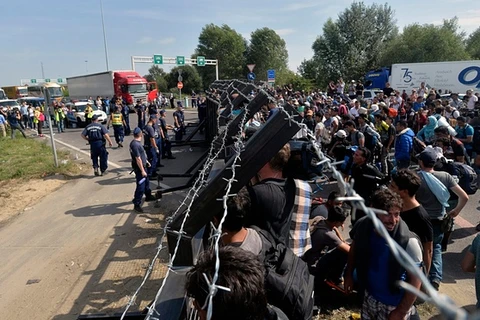 Người di cư ở biên giới Hungary. (Nguồn: Guardian)