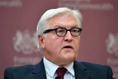 Ngoại trưởng Đức Frank-Walter Steinmeier. (Nguồn: Telegraph)