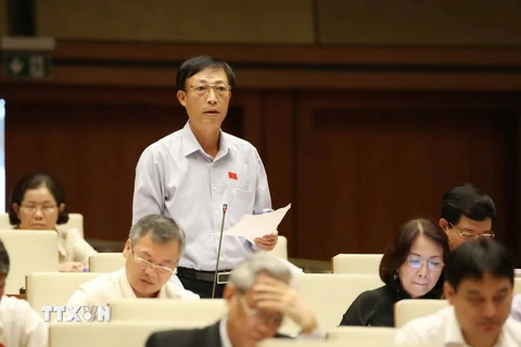 Đại biểu Quốc hội tỉnh Hà Nam Trần Xuân Hùng phát biểu ý kiến. (Ảnh: Phương Hoa/TTXVN)