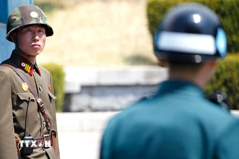 Binh sỹ Triều Tiên (trái) nhìn về phía binh sỹ Hàn Quốc. (Ảnh minh họa. Nguồn: AFP)