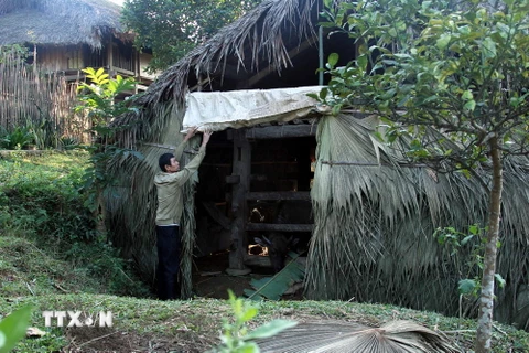 Người dân Hà Giang che chuồng trại chắn gió đảm bảo giữ ấm cho trâu trong những ngày giá rét. (Ảnh: Đỗ Bình/TTXVN)