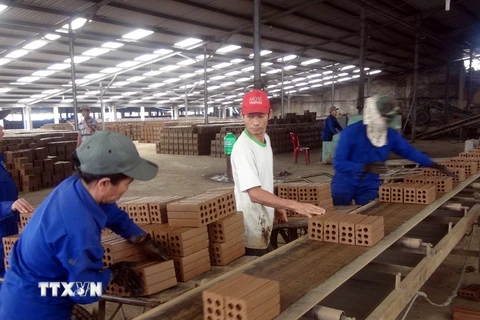 Sản xuất gạch tuynel tại Hợp tác xã dịch vụ nông nghiệp, kinh doanh tổng hợp Đại Hiệp, huyện Đại Lộc, tỉnh Quảng Nam. (Ảnh: Đỗ Trưởng/TTXVN)