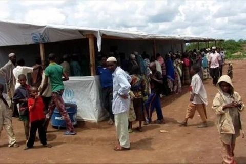 Người dân Nigeria tị nạn ở Cameroon. (Nguồn: aa.com.tr)