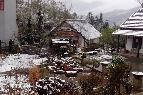 Tuyết rơi phủ trắng trên mái nhà, vườn tược của người dân khu vực đèo Ô Quý Hồ, thị trấn Sa Pa (Lào Cai) năm 2014. (Ảnh: Nguyễn Thắng/TTXVN) 